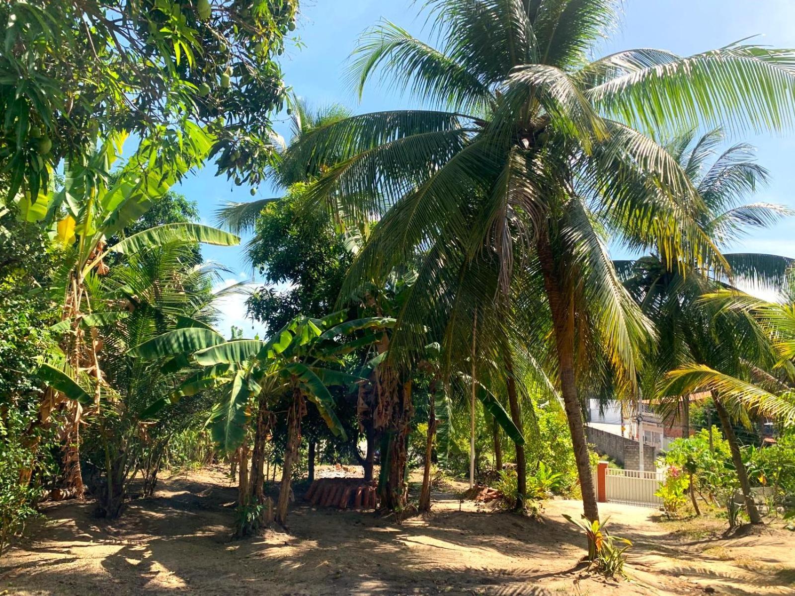 Hotel Jacarecica Haus Maceió Exterior foto
